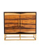 Zara 2-door Accent Cabinet Black Walnut and Gold image